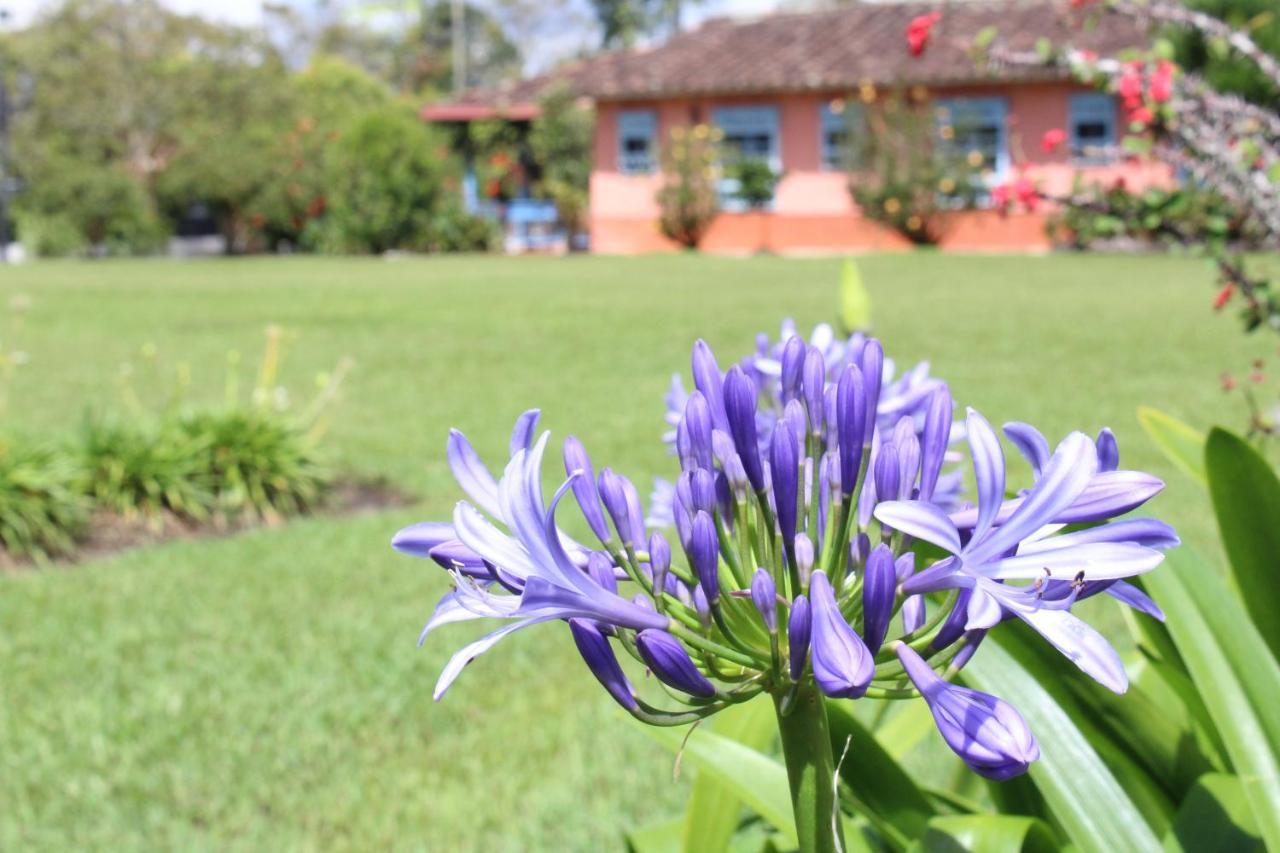 Ecohotel La Masia Llanogrande  エクステリア 写真