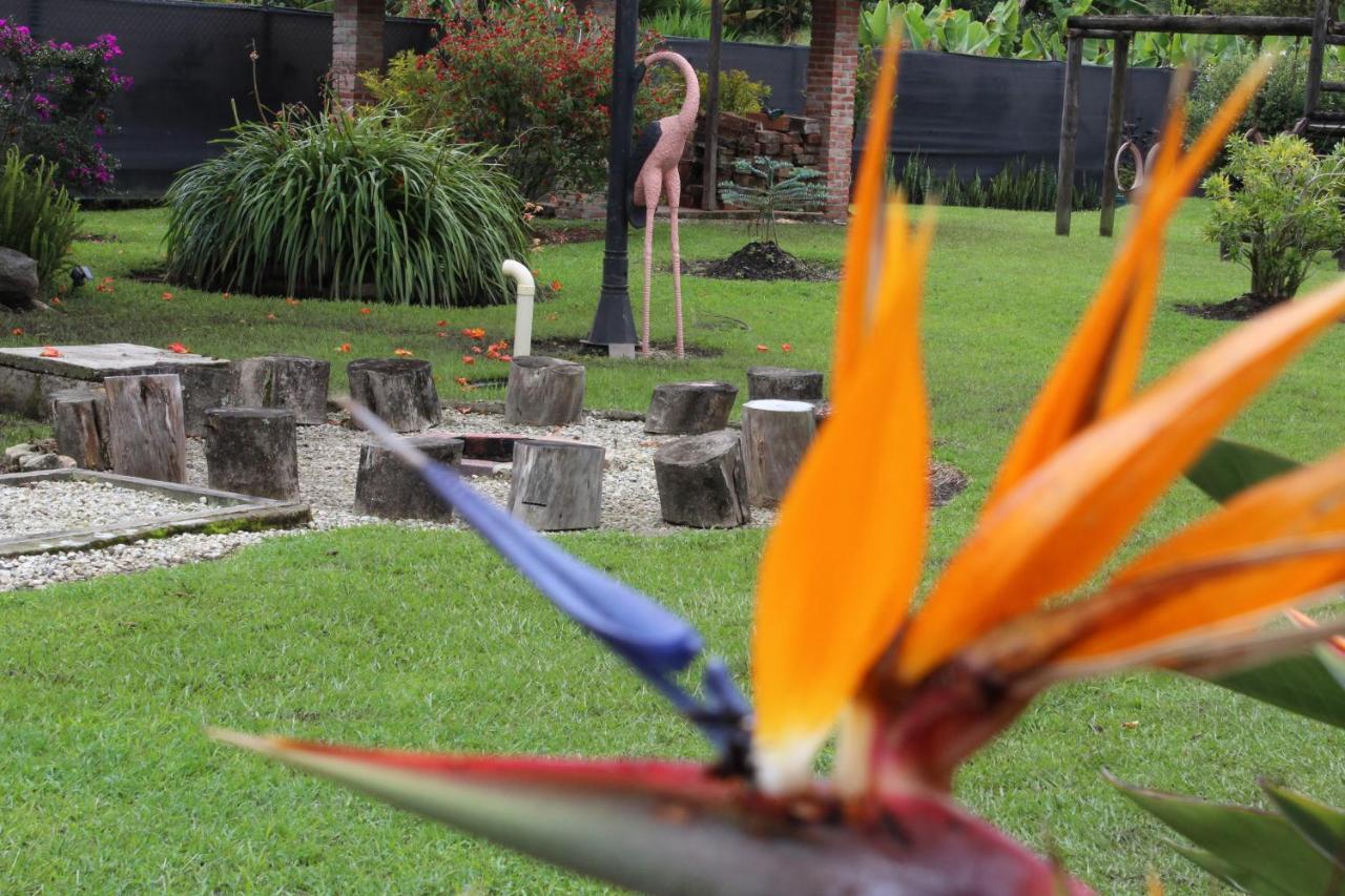 Ecohotel La Masia Llanogrande  エクステリア 写真