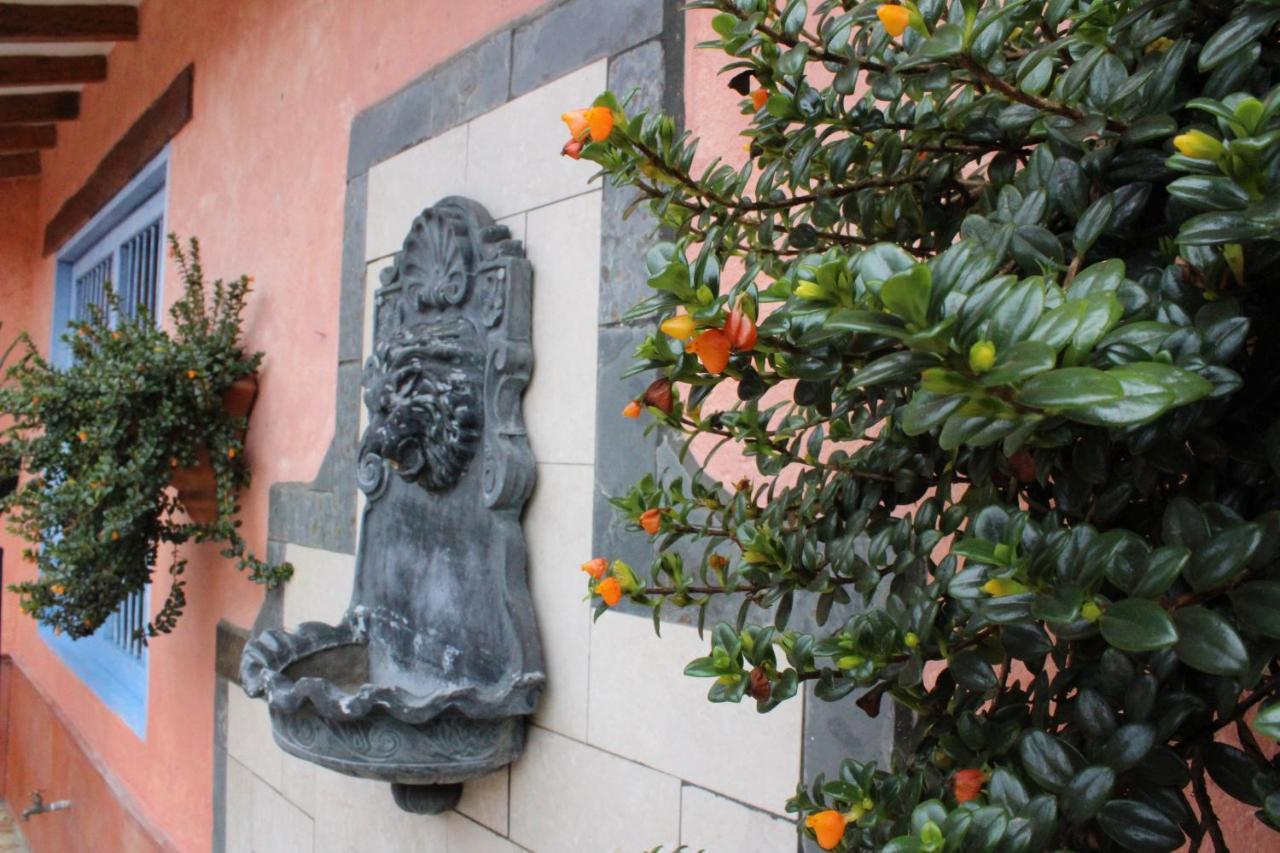 Ecohotel La Masia Llanogrande  エクステリア 写真